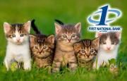 a line of kittens with the First National Bank at Paris logo