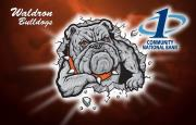 Waldron bulldogs logo with the First National Bank at Paris logo
