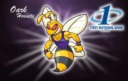 Hornet logo with the First National Bank at Paris logo