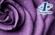 a purple rose image with the First National Bank at Paris logo